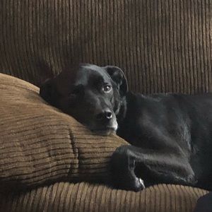 Meet your Posher, Chelsea